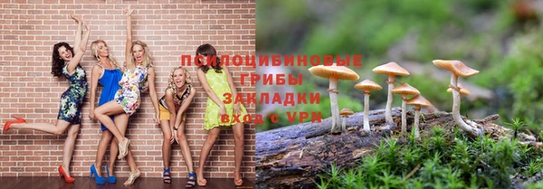 гидропоника Богородицк