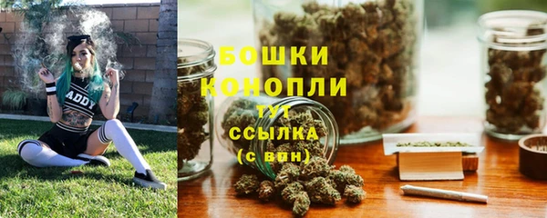 крисы Богородск