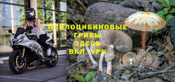 гидропоника Богородицк